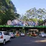 Serunya Menjelajahi Taman Safari Bogor