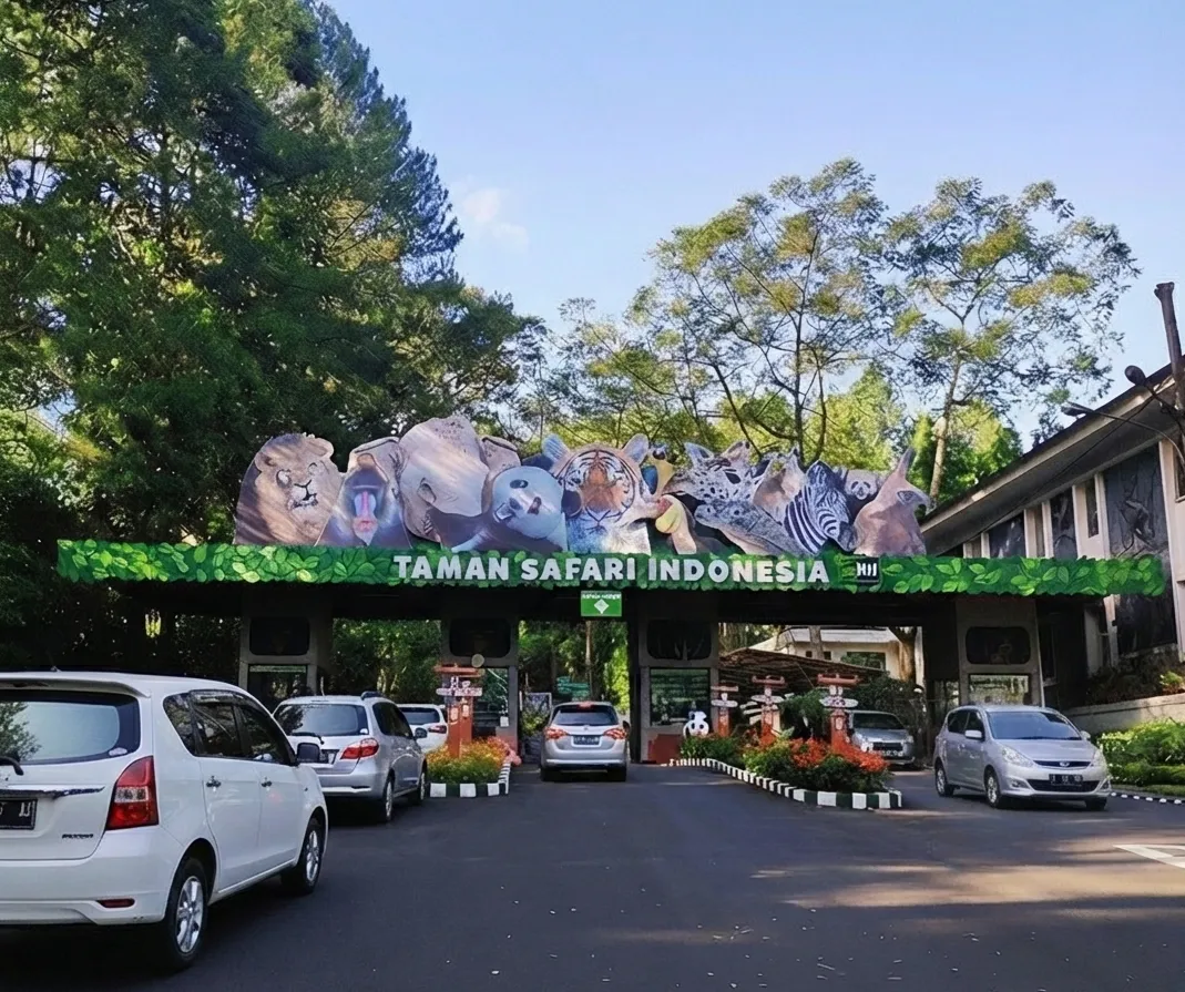 Serunya Menjelajahi Taman Safari Bogor