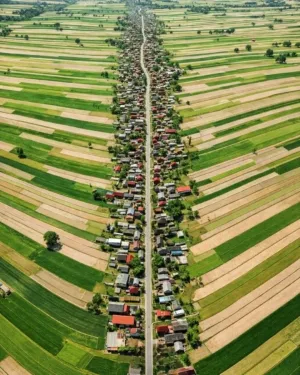 Desa Suloszowa Polandia