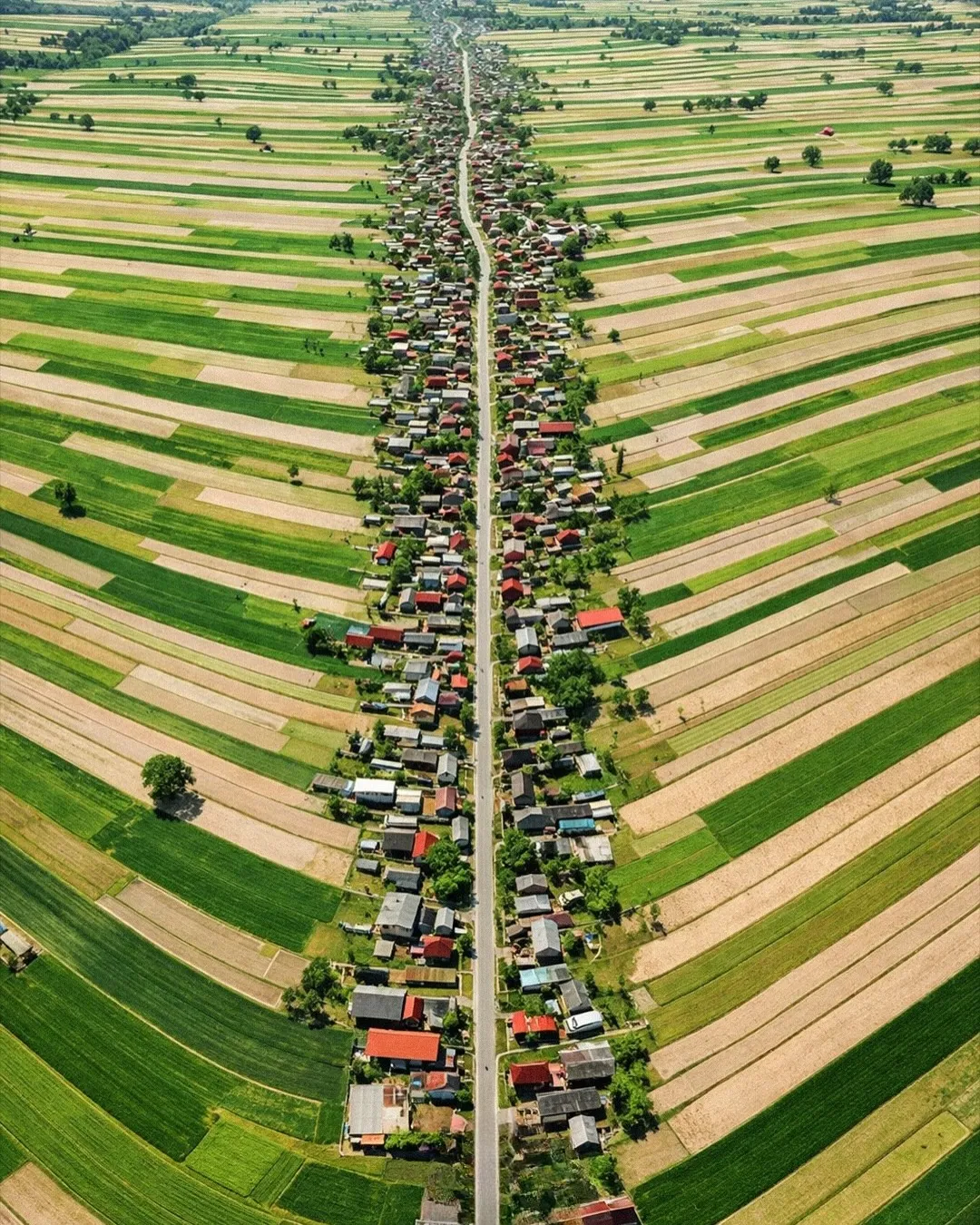 Desa Suloszowa Polandia