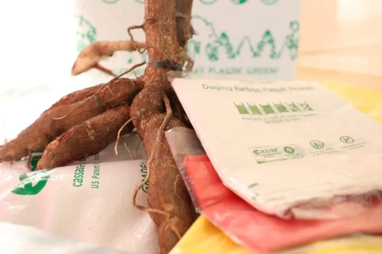 kantong belanja berbahan singkong