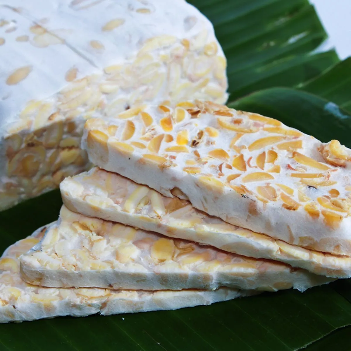 Bisnis tempe dan harga kedelai