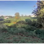 [DiJual] Tanah Lokasi Asri – luas 1 Ha – Tajurhalang Bogor