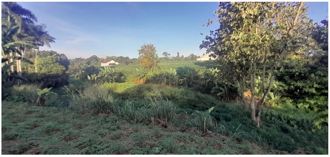 [DiJual] Tanah Lokasi Asri – luas 1 Ha – Tajurhalang Bogor